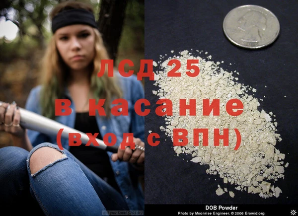 спиды Козловка