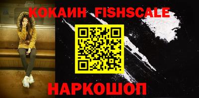 индика Партизанск