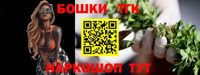 индика Партизанск