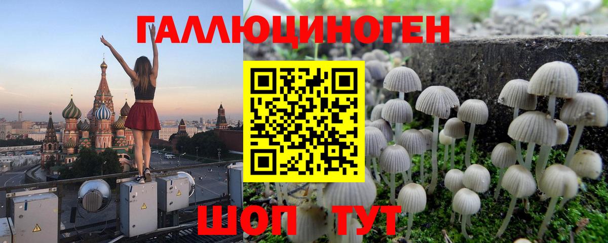 Галлюциногенные грибы ЛСД Шали