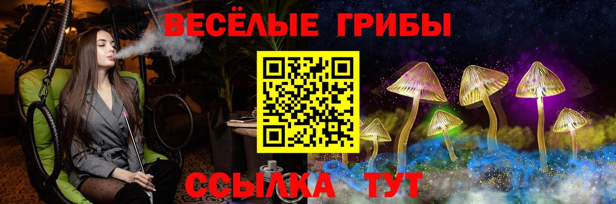 Псилоцибиновые грибы мицелий  Псилоцибиновые грибы Psilocybe  Вход с VPN  Шали 